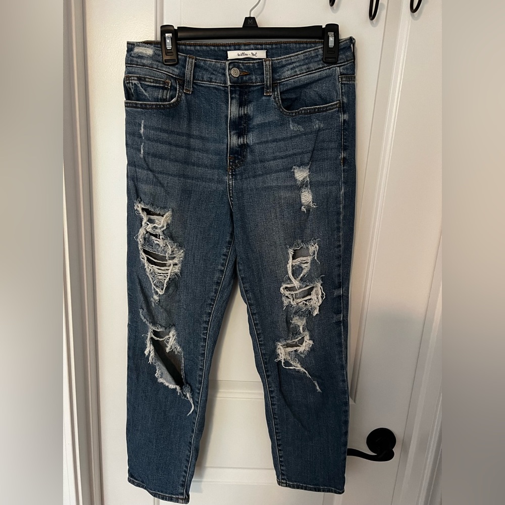 Willow Root from Buckle distressed mom jeans